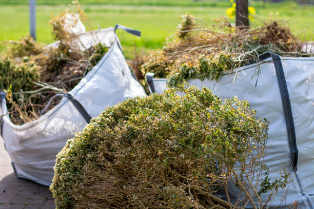 Best Affordable Junk Removal Services  in Los Osos, CA